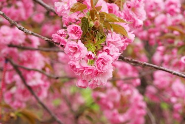 南京江宁线下个人借款平台一站式服务，轻松解决资金难题