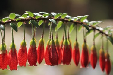 南京江宁零用贷短借：轻松解决临时资金需求