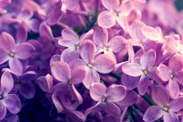 南京江宁企业急用钱贷款攻略：快速融资解燃眉之急